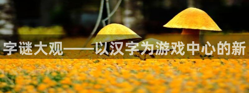 杏悦代理是正规品牌吗