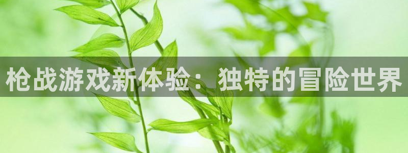 杏悦娱乐是什么平台公司：枪战游戏新体验：独特的冒险世界