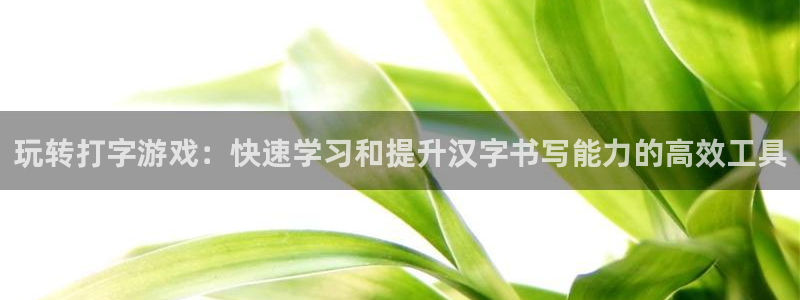 杏悦娱乐注册地址在哪里查：玩转打字游戏：快速学习和提升汉字书