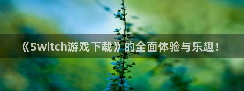 杏悦：《Switch游戏下载》的全面体验与乐趣！