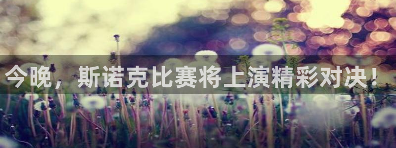 鲸鱼体育nba直播在线观看：今晚，斯诺克比赛将上演精彩对决！