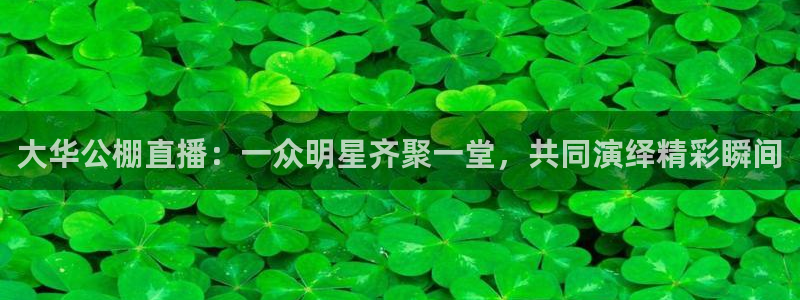 鲸鱼体育app官网版：大华公棚直播：一众明星齐聚一堂，共同演绎精彩瞬间