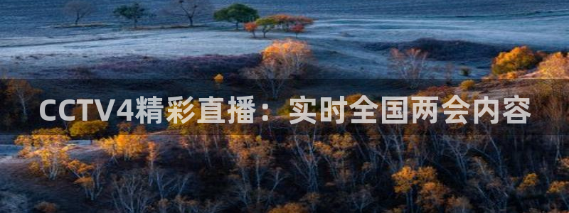 鲸鱼体育nba68.tv：CCTV4精彩直播：实时全国两会内容