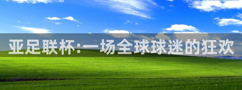 鲸鱼体育app官方入口：亚足联杯:一场全球球迷的狂欢