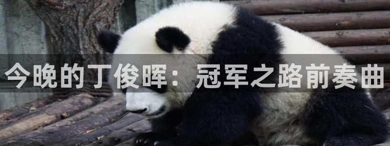 鲸鱼直播nba：今晚的丁俊晖：冠军之路前奏曲
