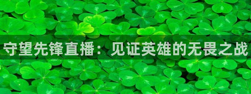 鲸鱼nba直播在线观看：守望先锋直播：见证英雄的无畏之战