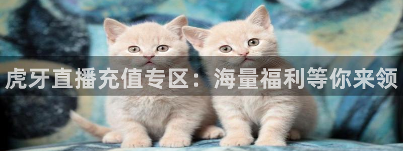cc68tv鲸鱼体育：虎牙直播充值专区：海量福利等你来领