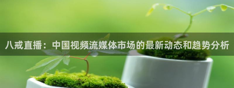 鲸鱼体育怎么免费看直播：八戒直播：中国视频流媒体市场的最新动态和趋势分析