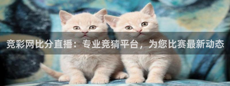 蓝鲸鱼体育直播：竞彩网比分直播：专业竞猜平台，为您比赛最新动态