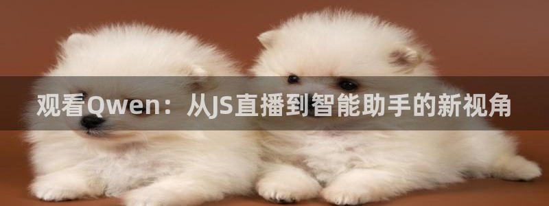 鲸鱼体育在线：观看Qwen：从JS直播到智能助手的新视角